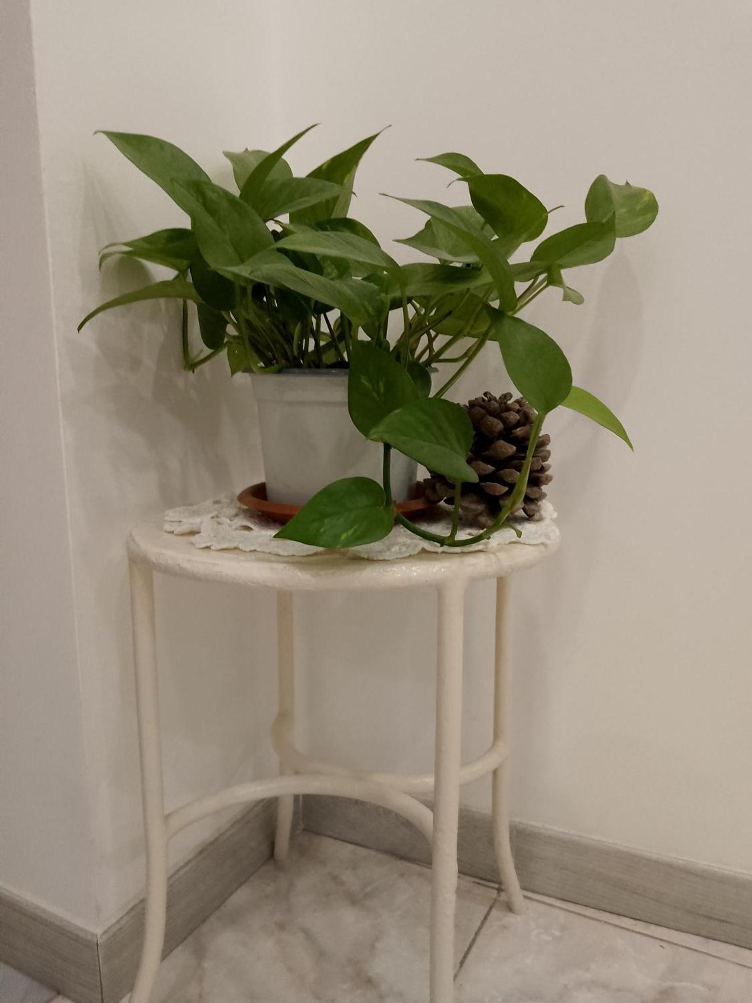 Le Casette Di Nonna Rosa In Fontanarossa Catania Airport Exterior photo